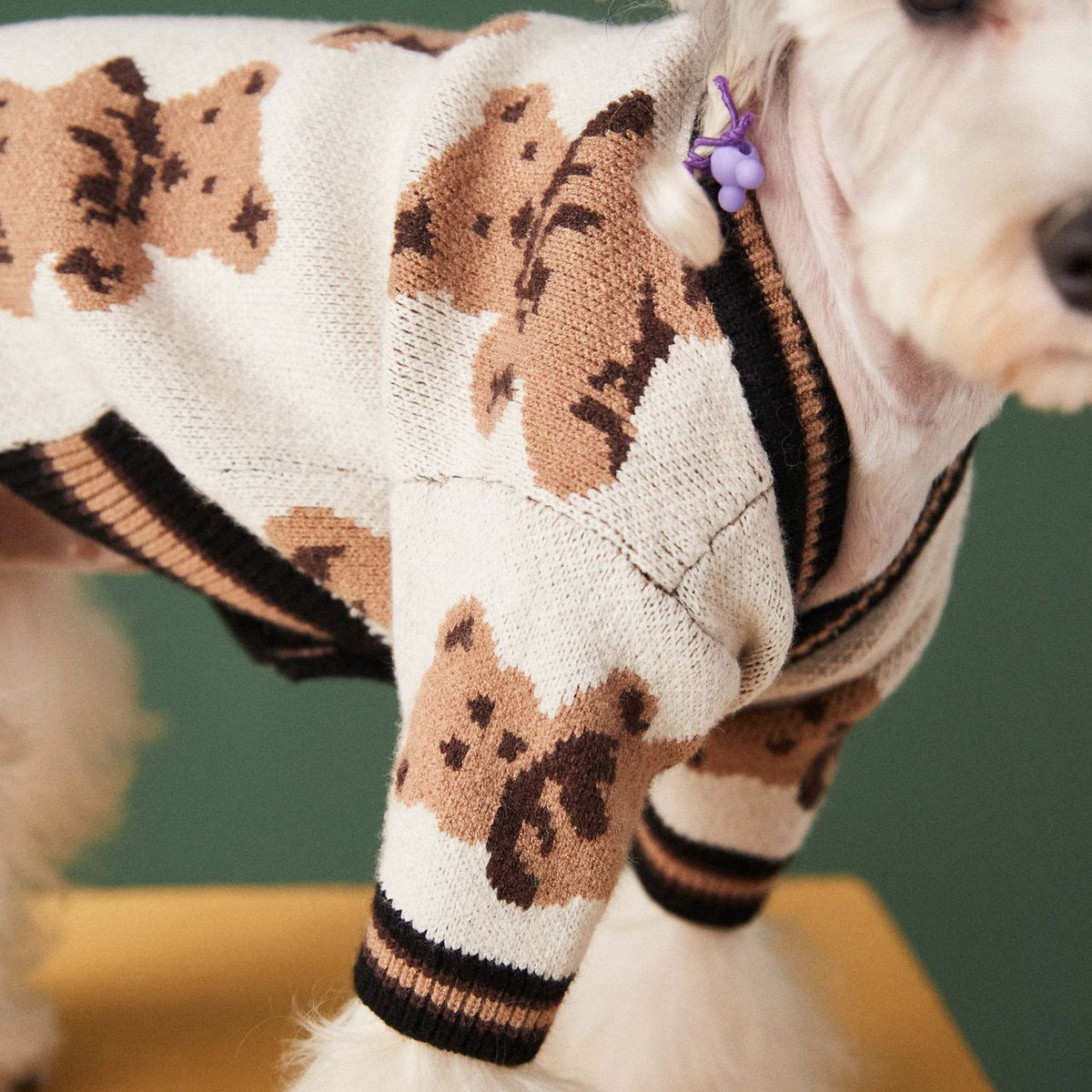 Cozy Bear Cardigan for Pets