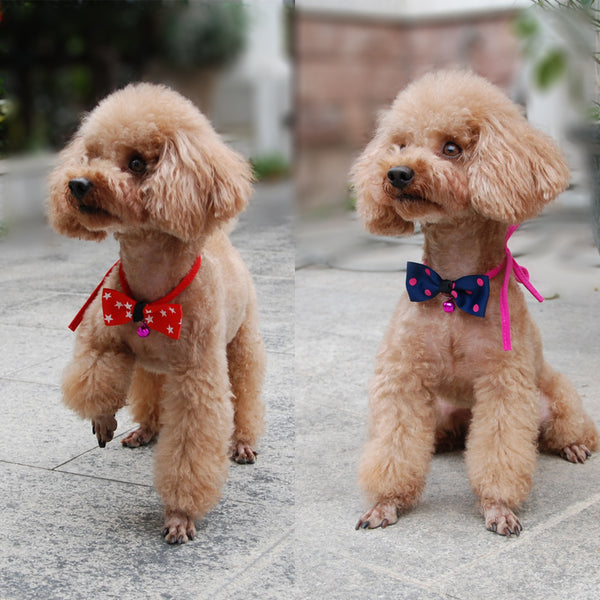 Pet Elegance Bow Tie with Copper Bell