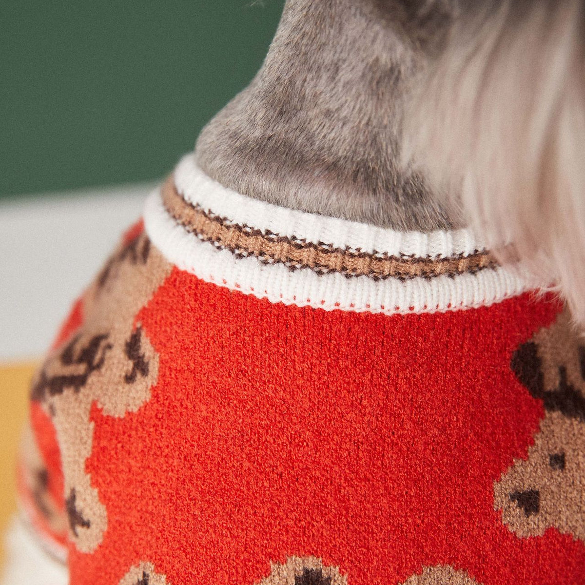 Cozy Bear Cardigan for Pets