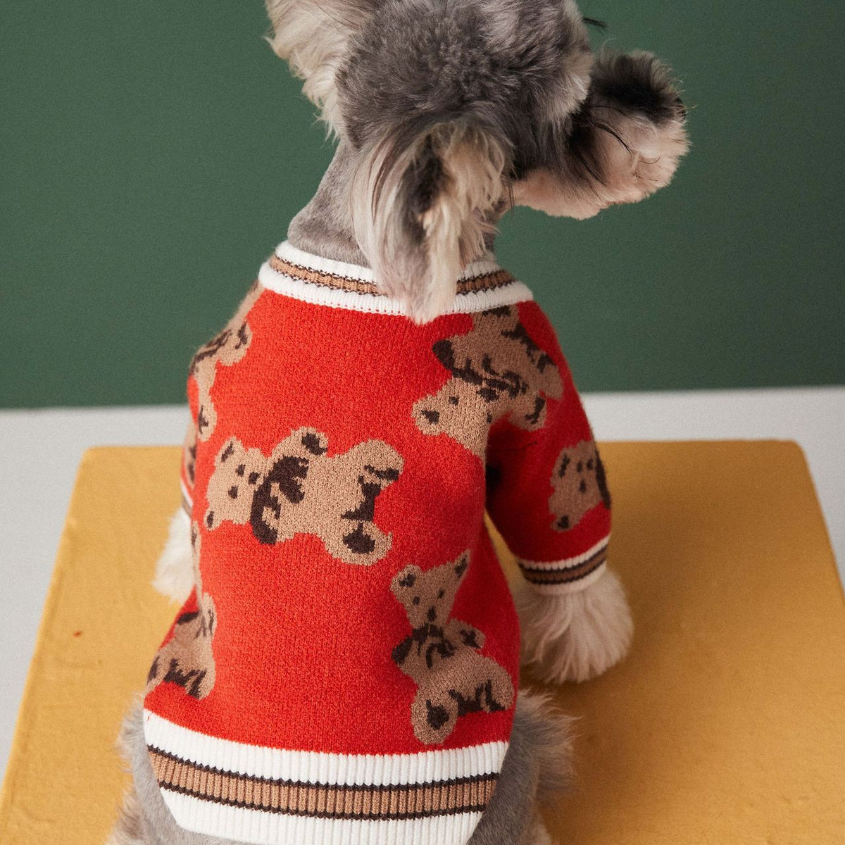 Cozy Bear Cardigan for Pets