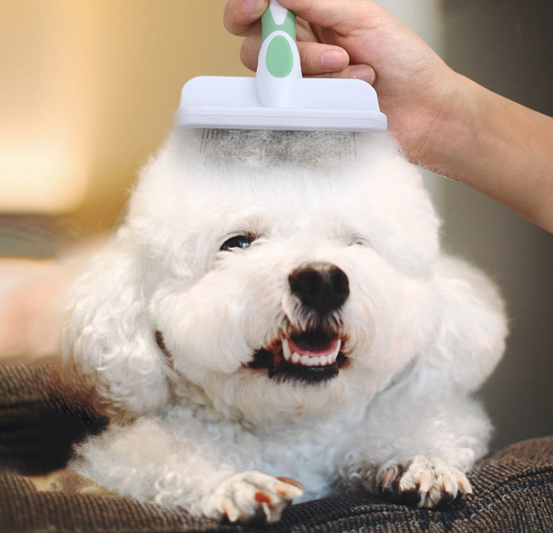 Gentle Pet Comb