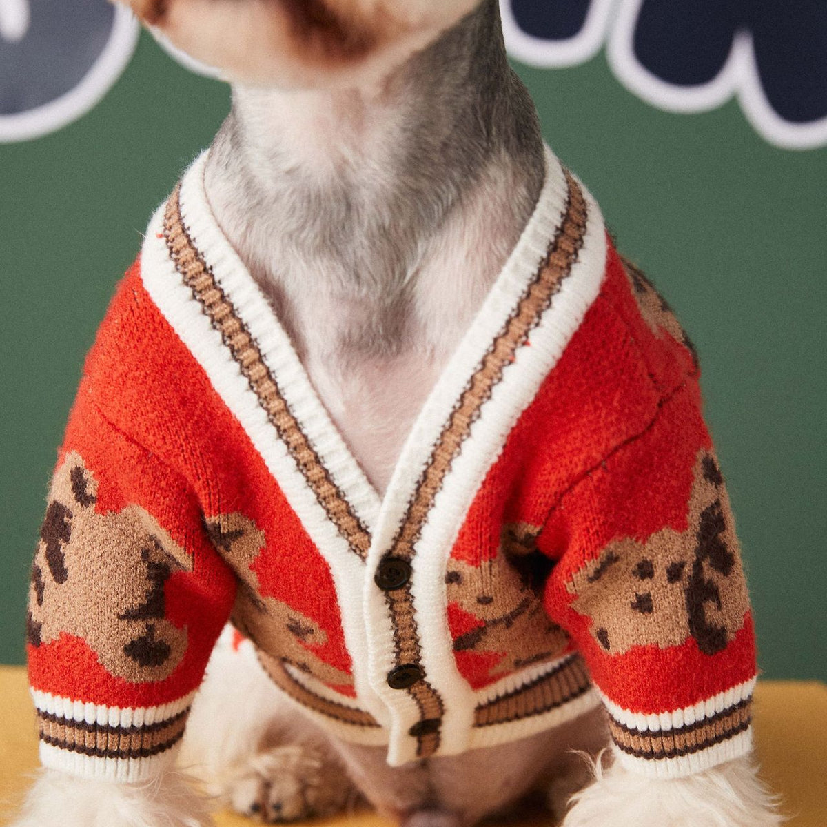 Cozy Bear Cardigan for Pets