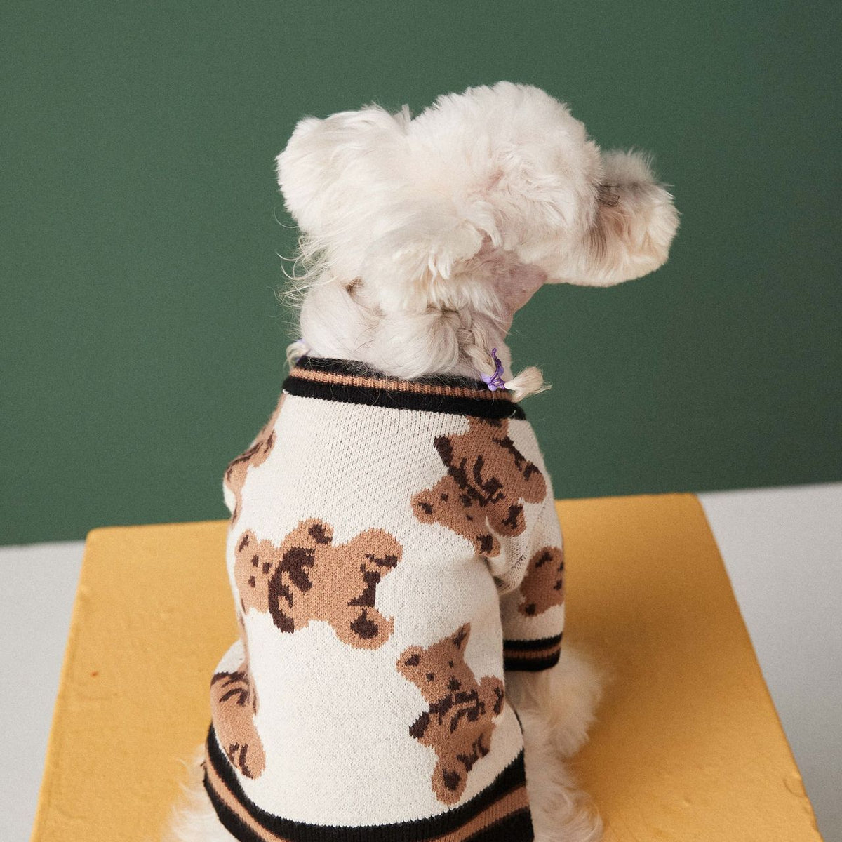 Cozy Bear Cardigan for Pets