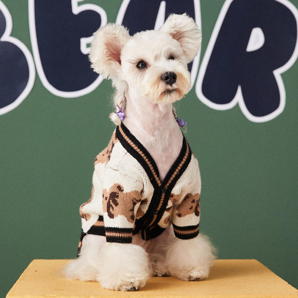 Cozy Bear Cardigan for Pets