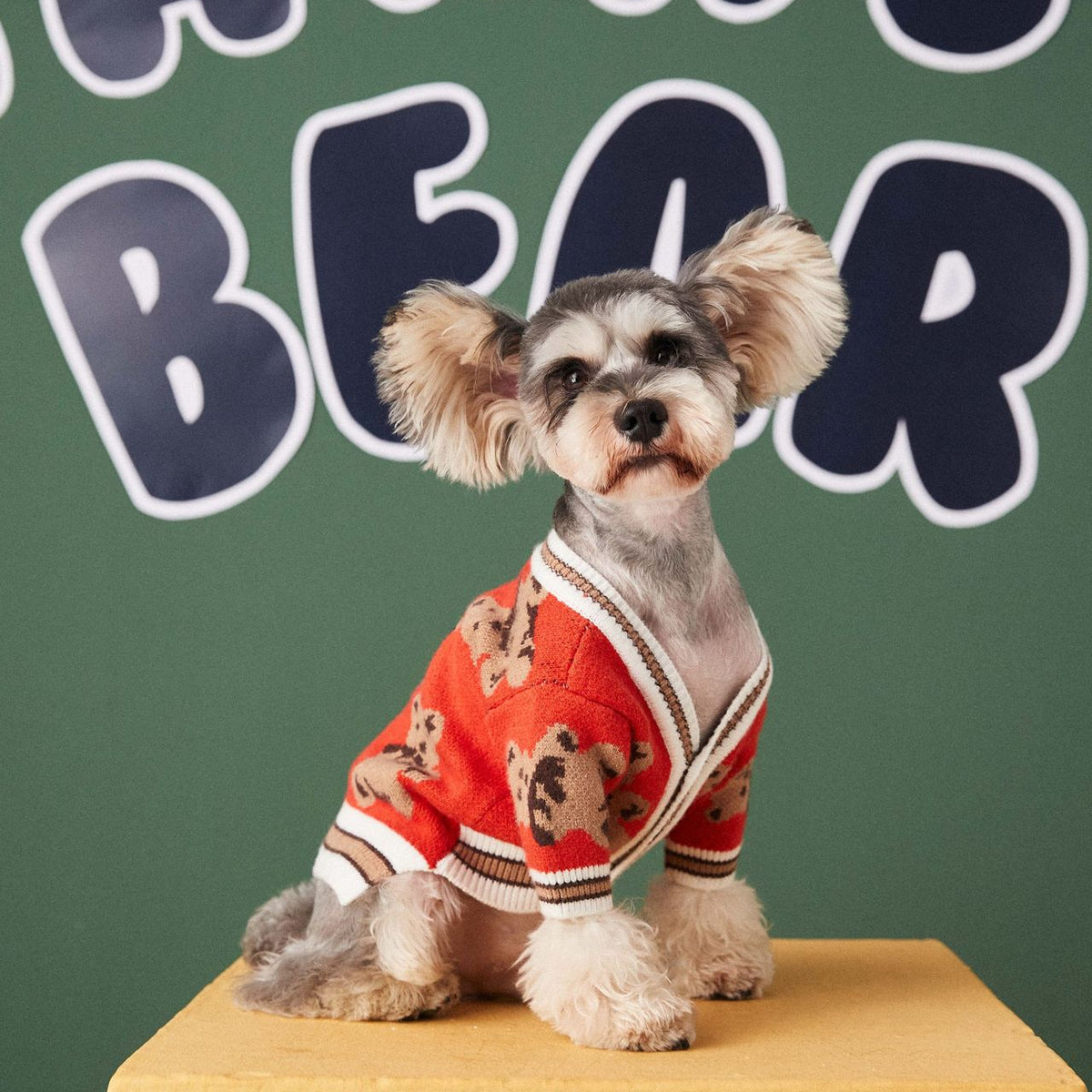 Cozy Bear Cardigan for Pets